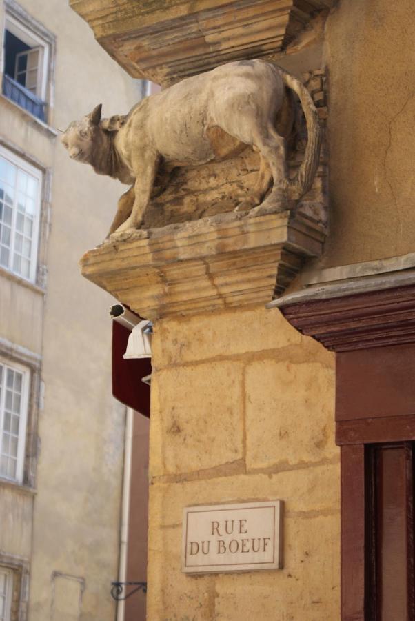 Gite L'Outarde Λυών Εξωτερικό φωτογραφία